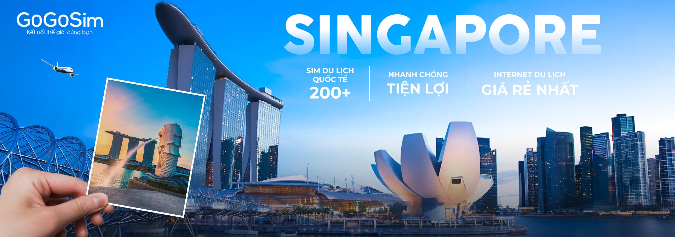 Singapore banner